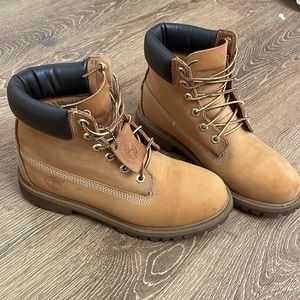 Timberland wheat 6M